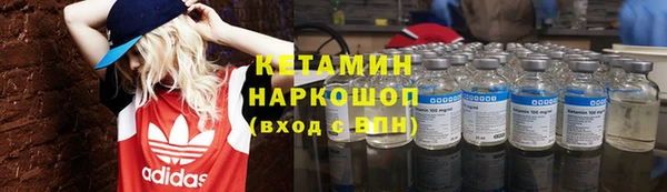 крисы Лагань