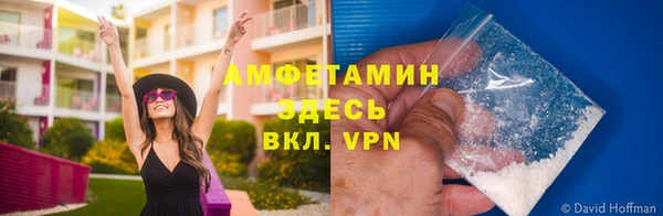 ПСИЛОЦИБИНОВЫЕ ГРИБЫ Елабуга