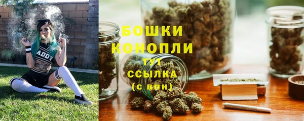 ПСИЛОЦИБИНОВЫЕ ГРИБЫ Елабуга