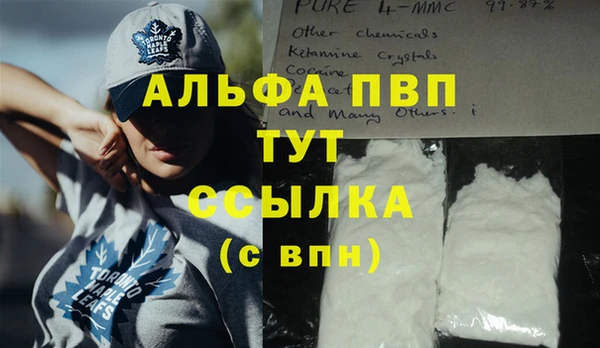 прущие грибы Тутаев