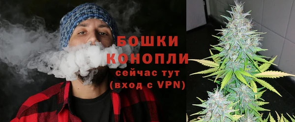 ПСИЛОЦИБИНОВЫЕ ГРИБЫ Елабуга